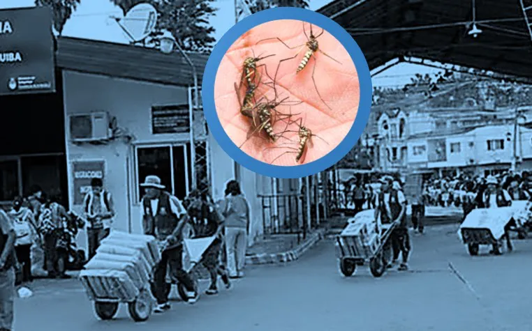 tour compra dengue chikungunya frontera aguas blancas