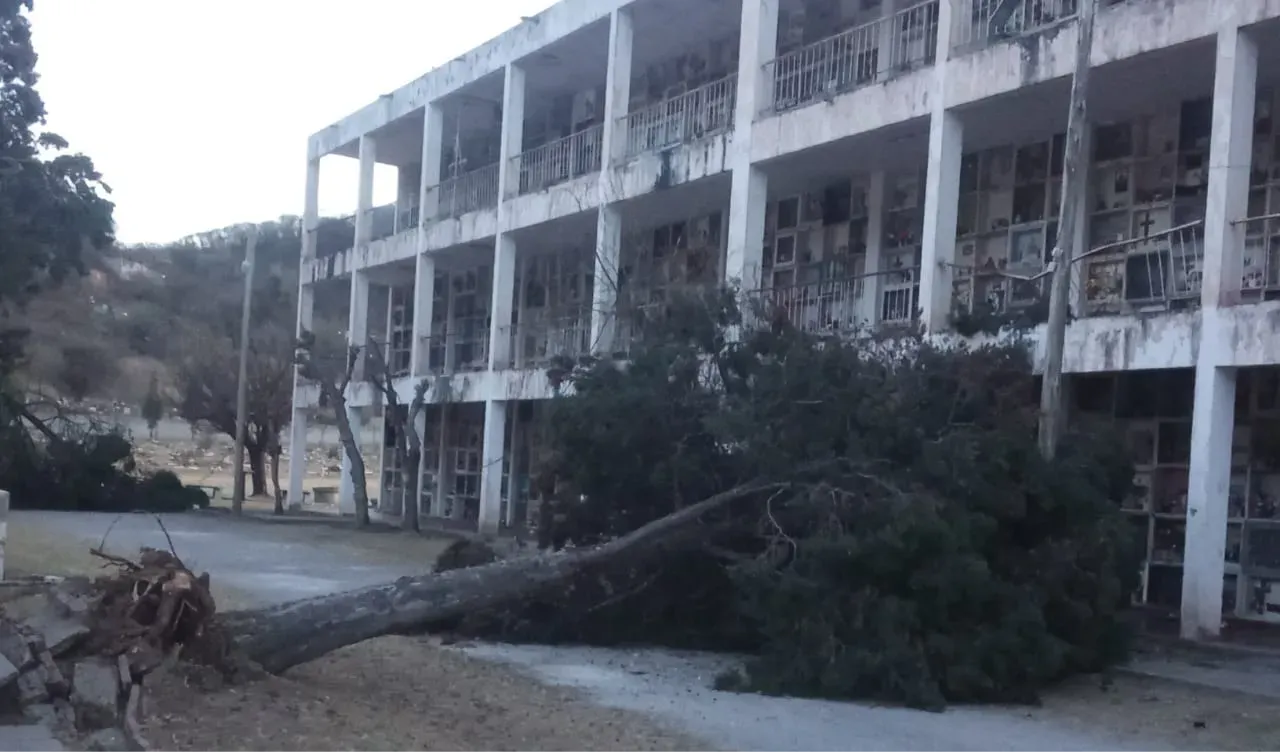 WhatsApp-Image-2025-08-19-at-07.38