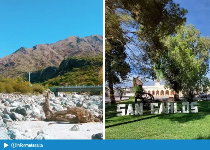 multimedia.normal.8aab31a8459d7641.U2FuIENhcmxvcyB5IEFuaW1hbsOhX25vcm1hbC53ZWJw