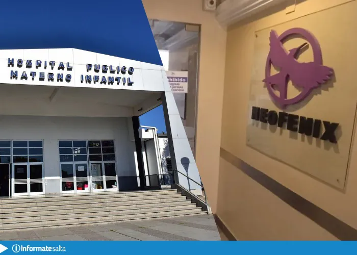 WhatsApp Image 2026-02-06 at 08.58.46