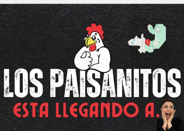 rosario de la frontera orozco avioneta (4)