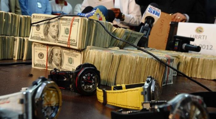 extincion de dominio - bienes