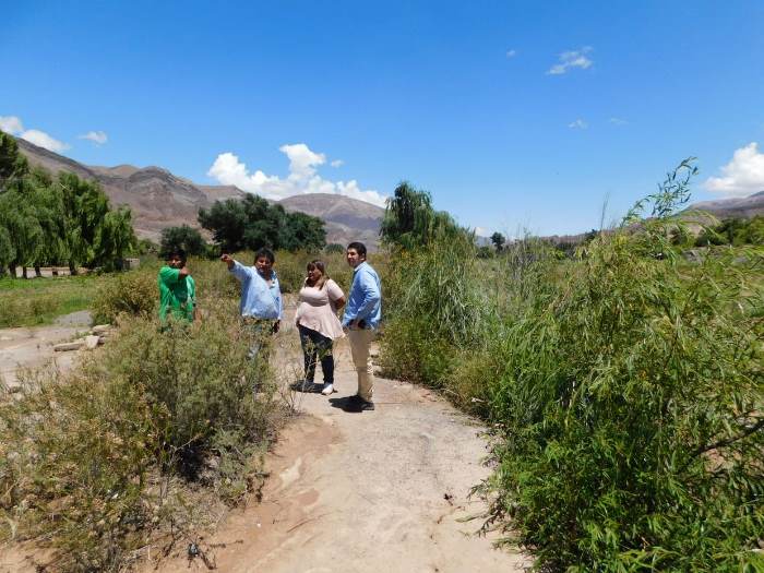 temporal - quijano - edicht