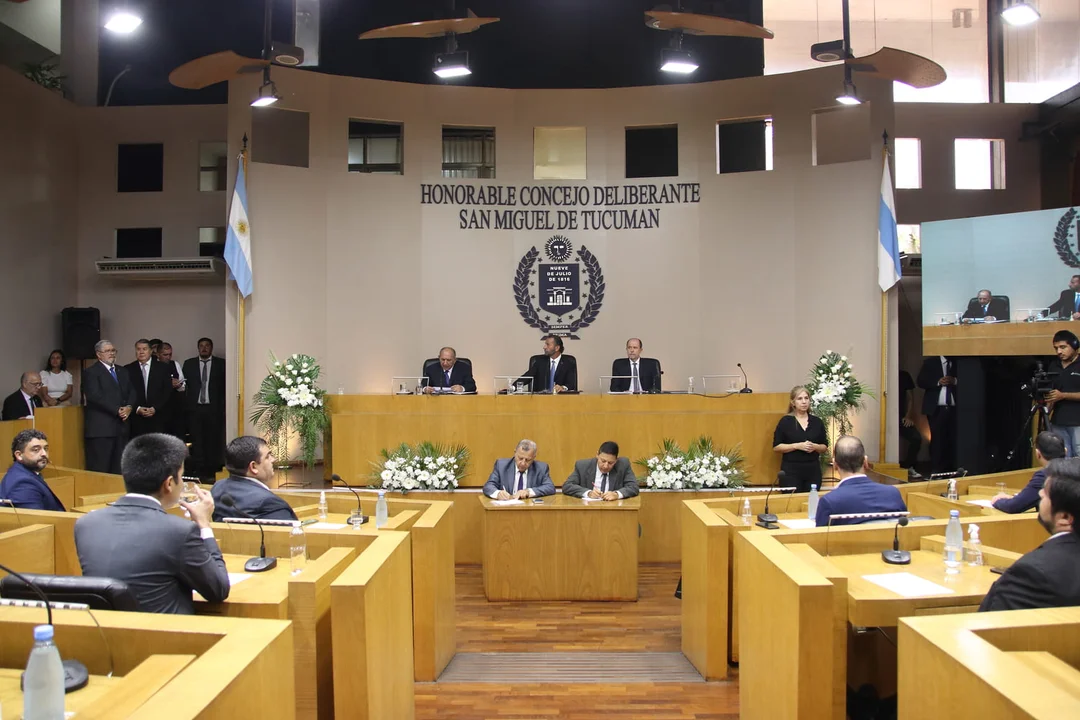 concejos deliberantes