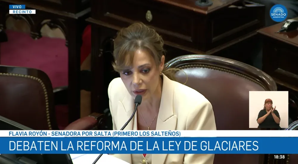 flavia royón ley de glaciares