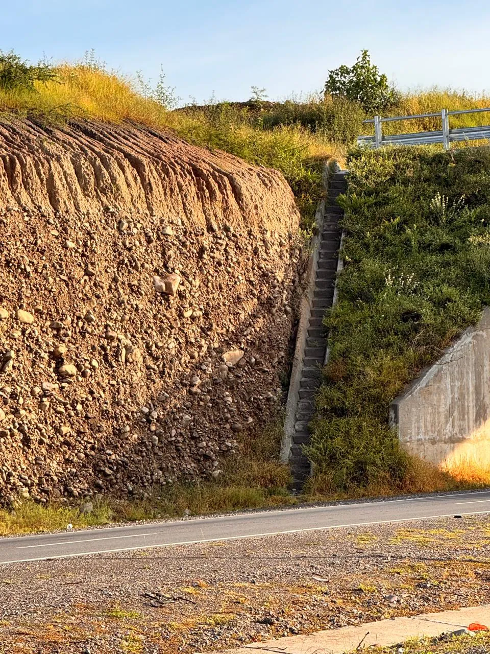 WhatsApp Image 2025-02-27 at 10.32.50