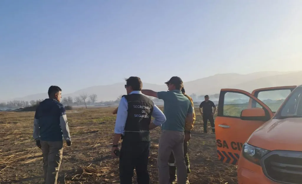 Incendios viento zonda 01