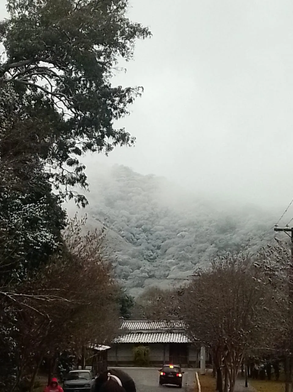 WhatsApp Image 2025-06-30 at 12.36.29